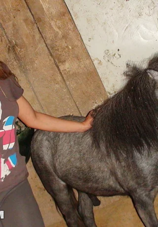 Любительская блондинка с сочной попкой и киской трахается во время посещения пони-фермы - 4